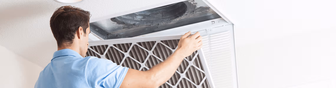 Sitecore.Data.Items.MediaItem?.Alt