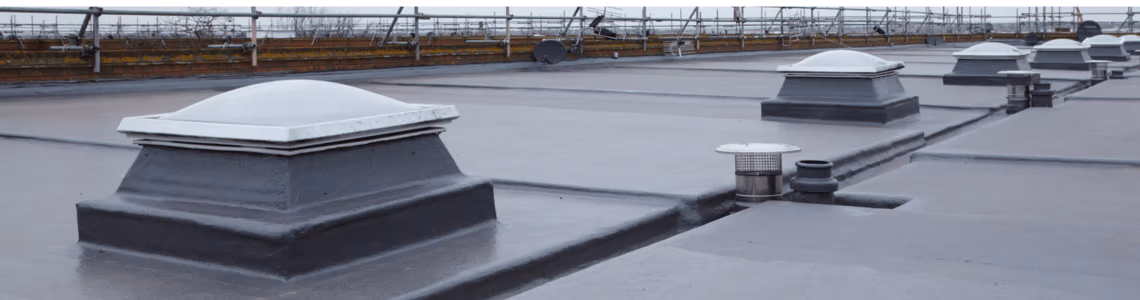 Sitecore.Data.Items.MediaItem?.Alt