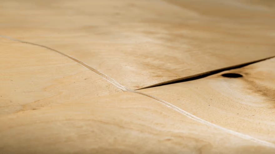 Large piece of plywood