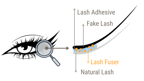 Lash fuser adhesive