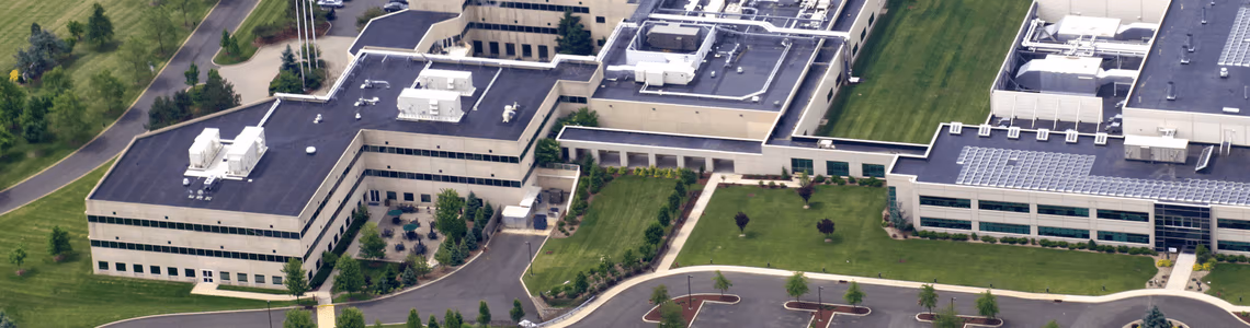 Sitecore.Data.Items.MediaItem?.Alt