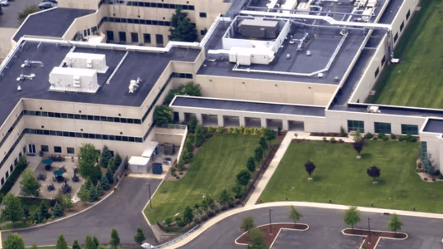 Sitecore.Data.Items.MediaItem?.Alt