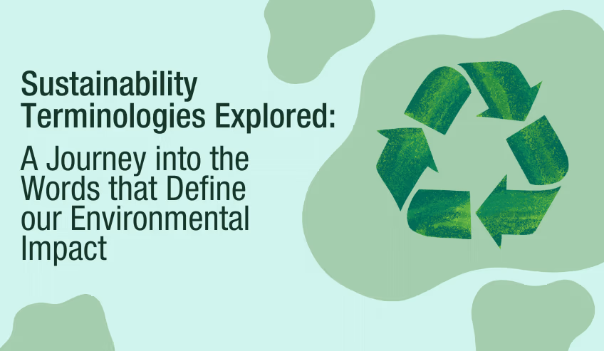 Sustainability Terminologies Explored