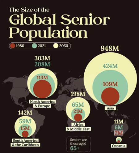 senior population chart
