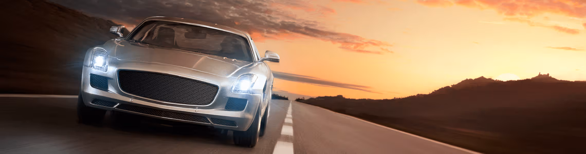 Sitecore.Data.Items.MediaItem?.Alt