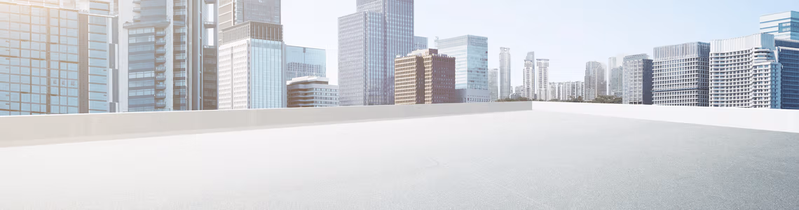 Sitecore.Data.Items.MediaItem?.Alt