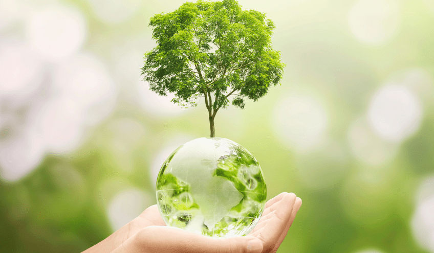 Image of tree on glass globe held in palm depicting sustainability