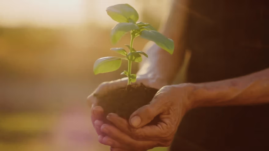 Solutions d’emballage durable