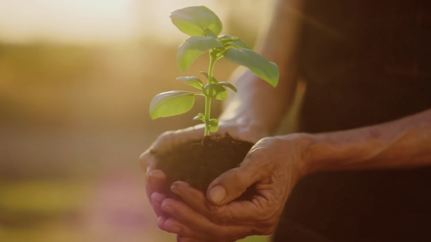 Sustainable Packaging Solutions