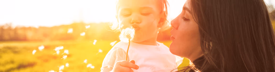 Sitecore.Data.Items.MediaItem?.Alt