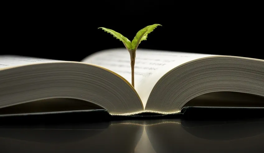 书本装订与植物生长