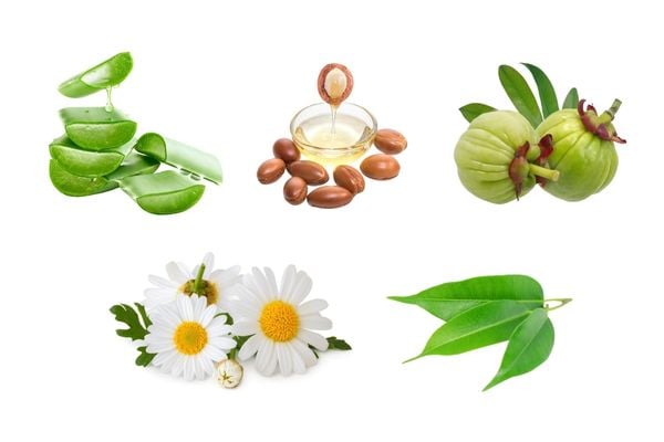 Functional Additives