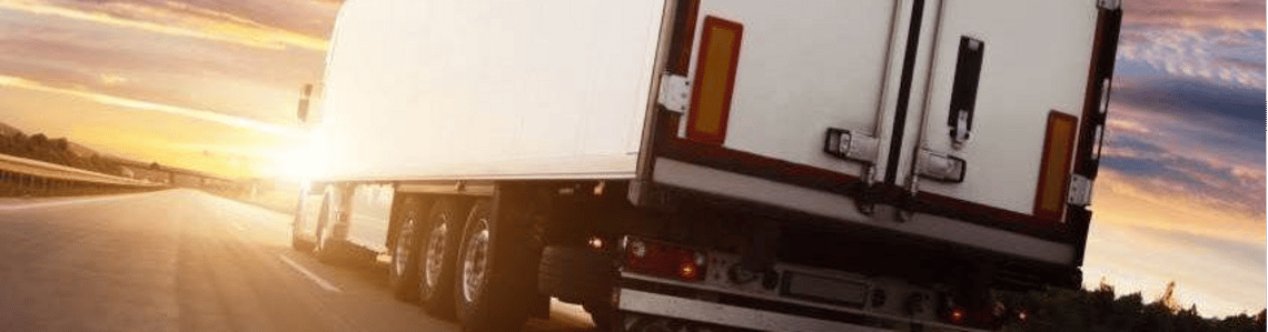 Sitecore.Data.Items.MediaItem?.Alt