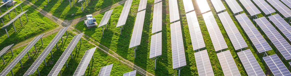 Sitecore.Data.Items.MediaItem?.Alt