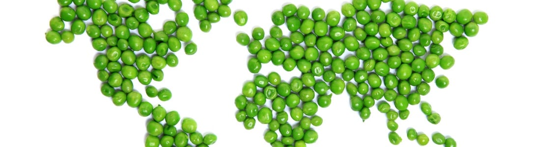 Sitecore.Data.Items.MediaItem?.Alt