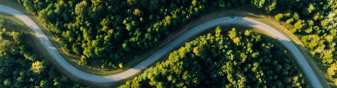 Sitecore.Data.Items.MediaItem?.Alt