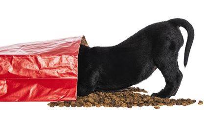 dog-food-bag-pet-packaging
