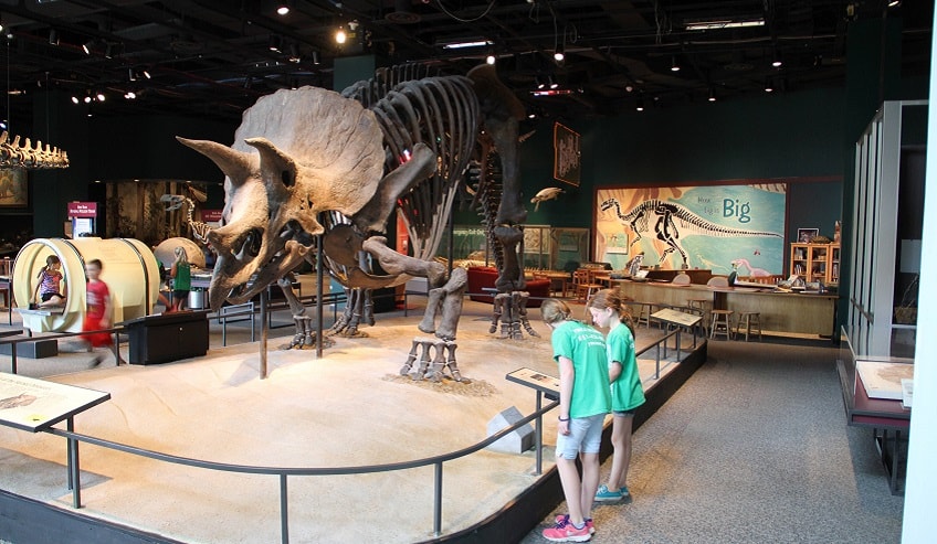 The Triceratops at the Science Museum of Minnesota was once repaired with H.B. Fuller adhesives. 