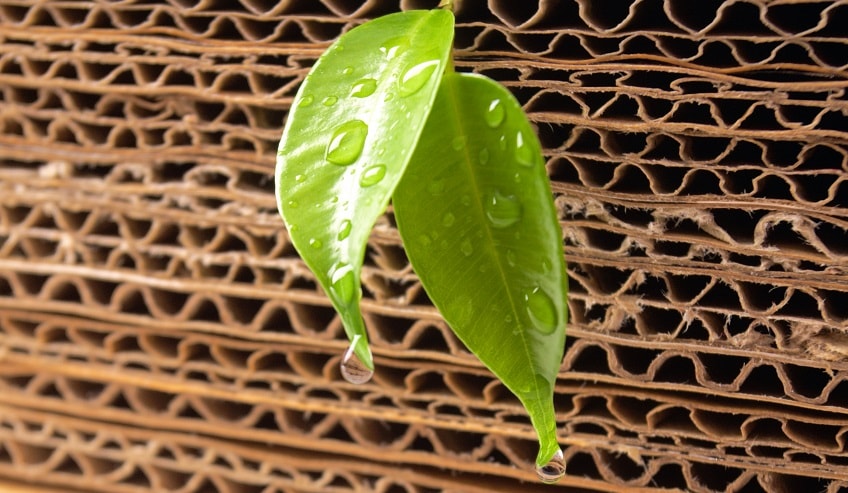 Corrugated paper with green leaves