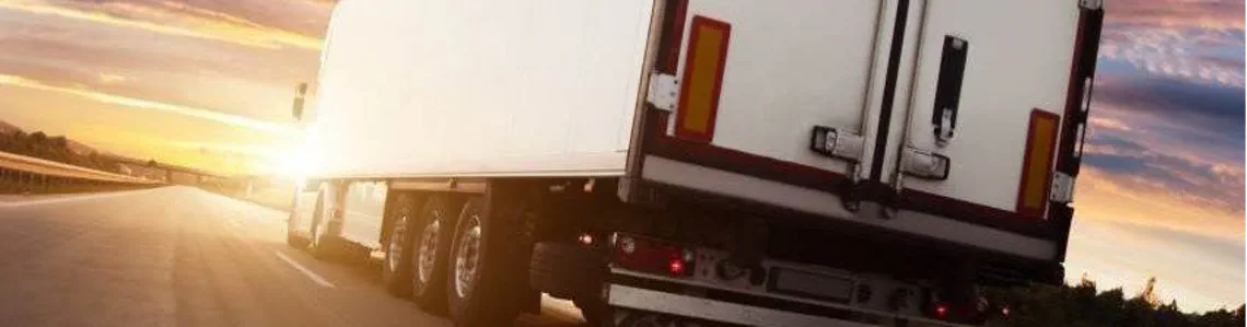 Sitecore.Data.Items.MediaItem?.Alt